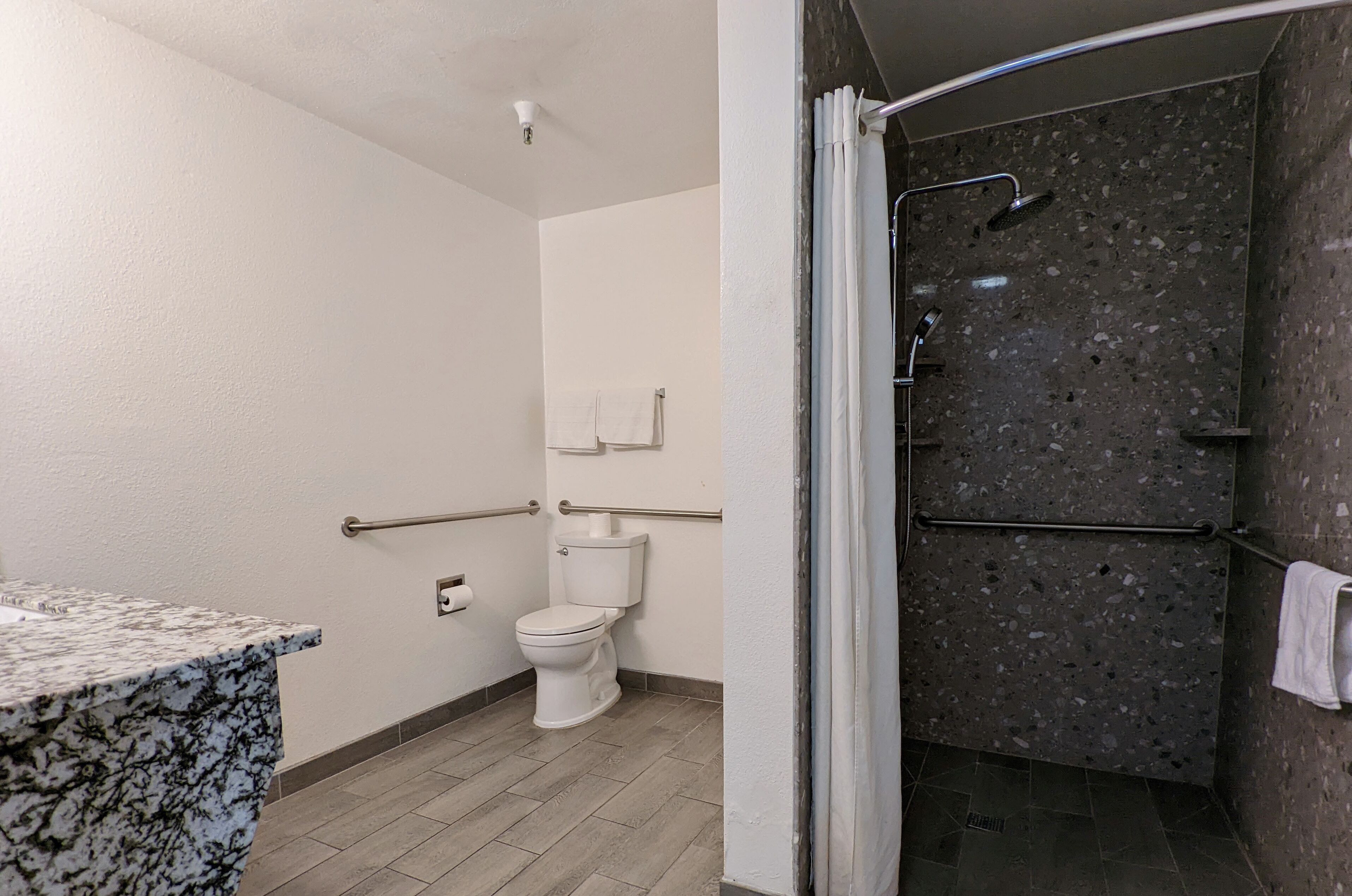 Een badkamer met toilet, een wastafel met een marmeren blad en een douchegedeelte met een donkere, gespikkelde wand.