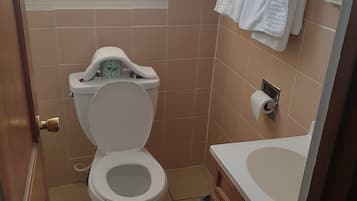 Chambre Standard, 2 grands lits (Pet-Friendly) | Salle de bain | Serviettes fournies