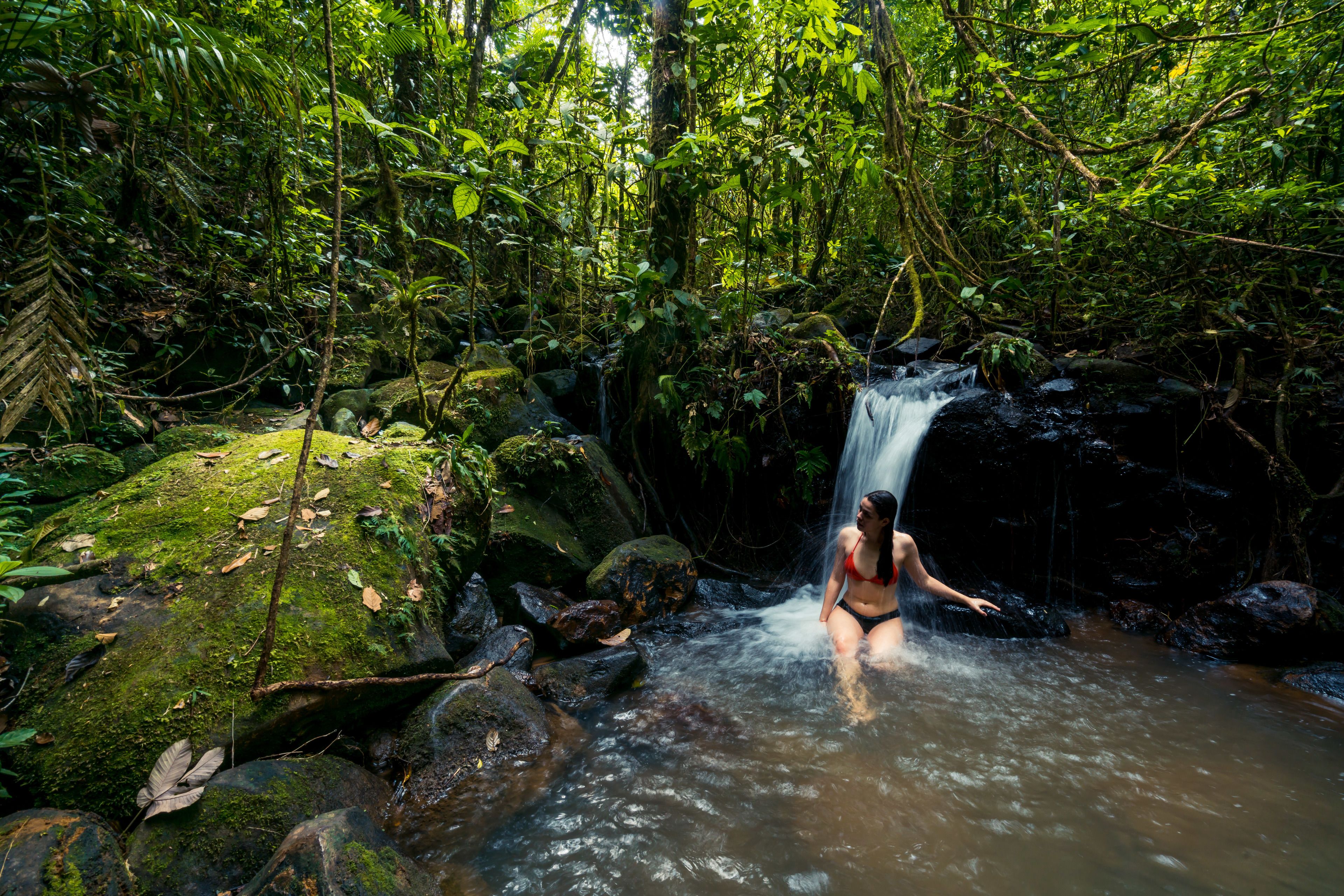 A woman standing in a forested area with a waterfall.