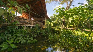 A rustic wooden structure with a thatched roof, surrounded by lush greenery and a calm water body. - La Tigra Rainforest Lodge (San Lorenzo)