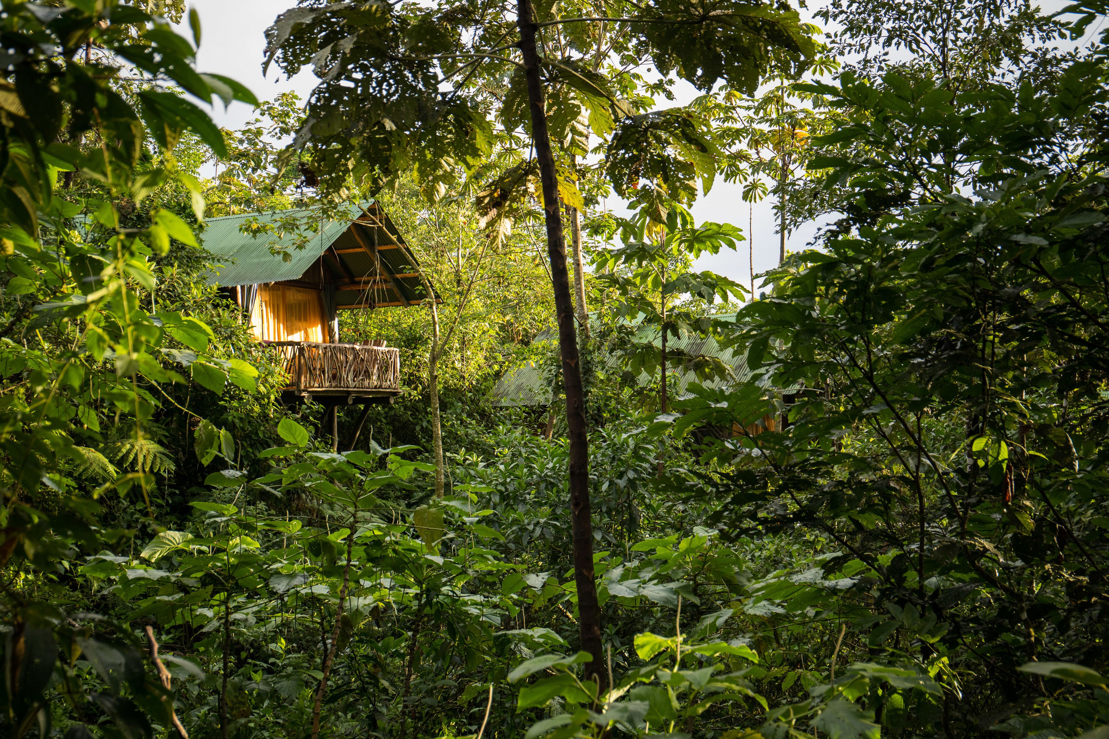 Tienda de campaña básica, vista a la montaña | Ropa de cama 