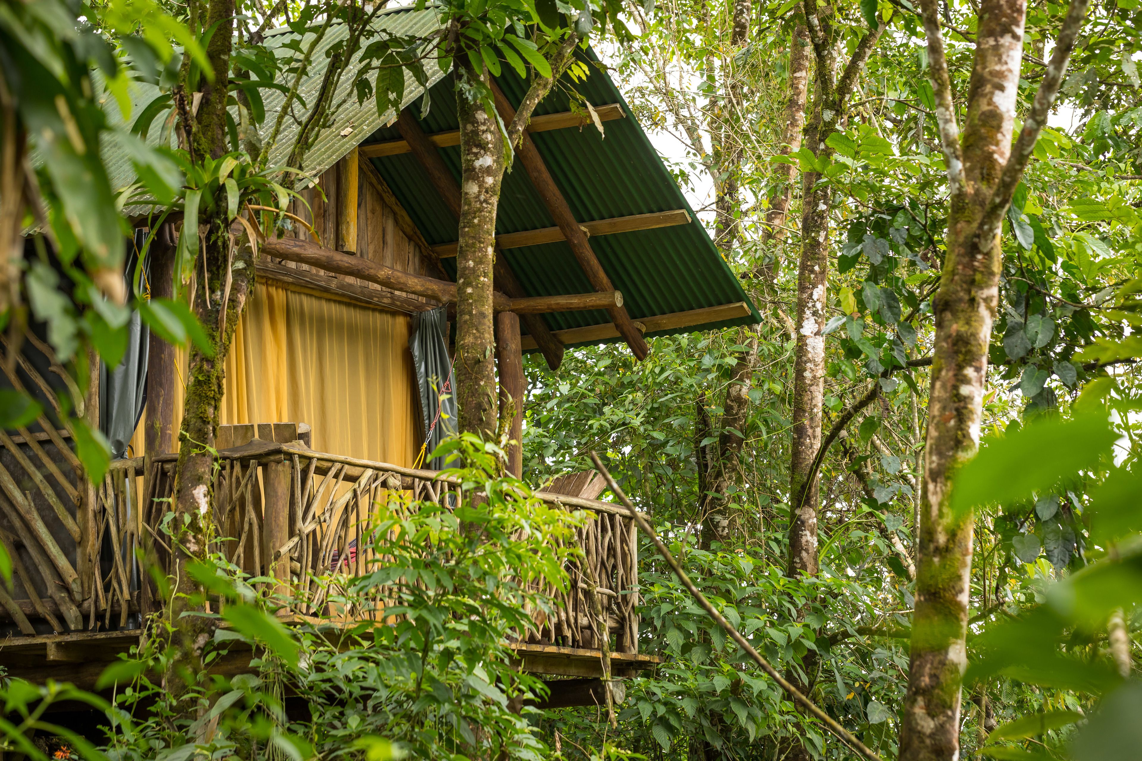 A wooden cabin with a balcony, surrounded by dense forest.