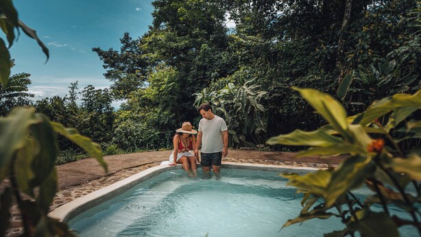 A swimming pool surrounded by lush greenery. - La Tigra Rainforest Lodge (San Lorenzo)