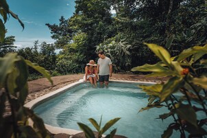 A swimming pool surrounded by lush greenery.