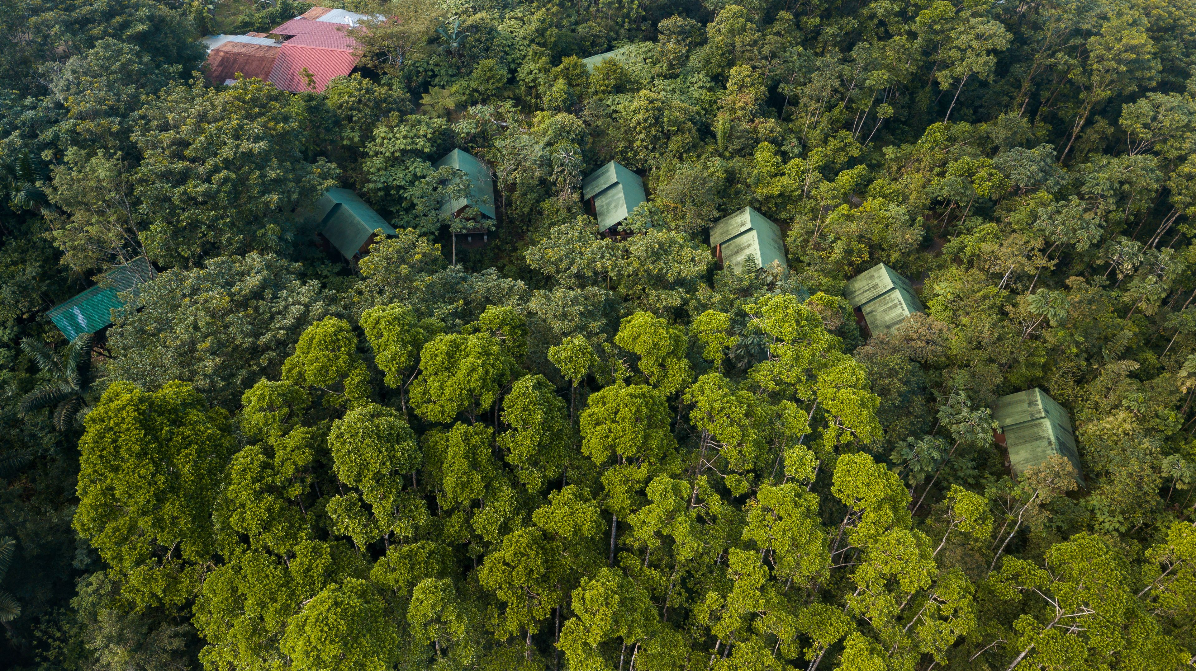 Eine Vogelperspektive eines bewaldeten Gebietes mit mehreren Gebäuden mit begrünten Dächern, wahrscheinlich ein Resort oder eine Lodge, umgeben von dichtem Grün.