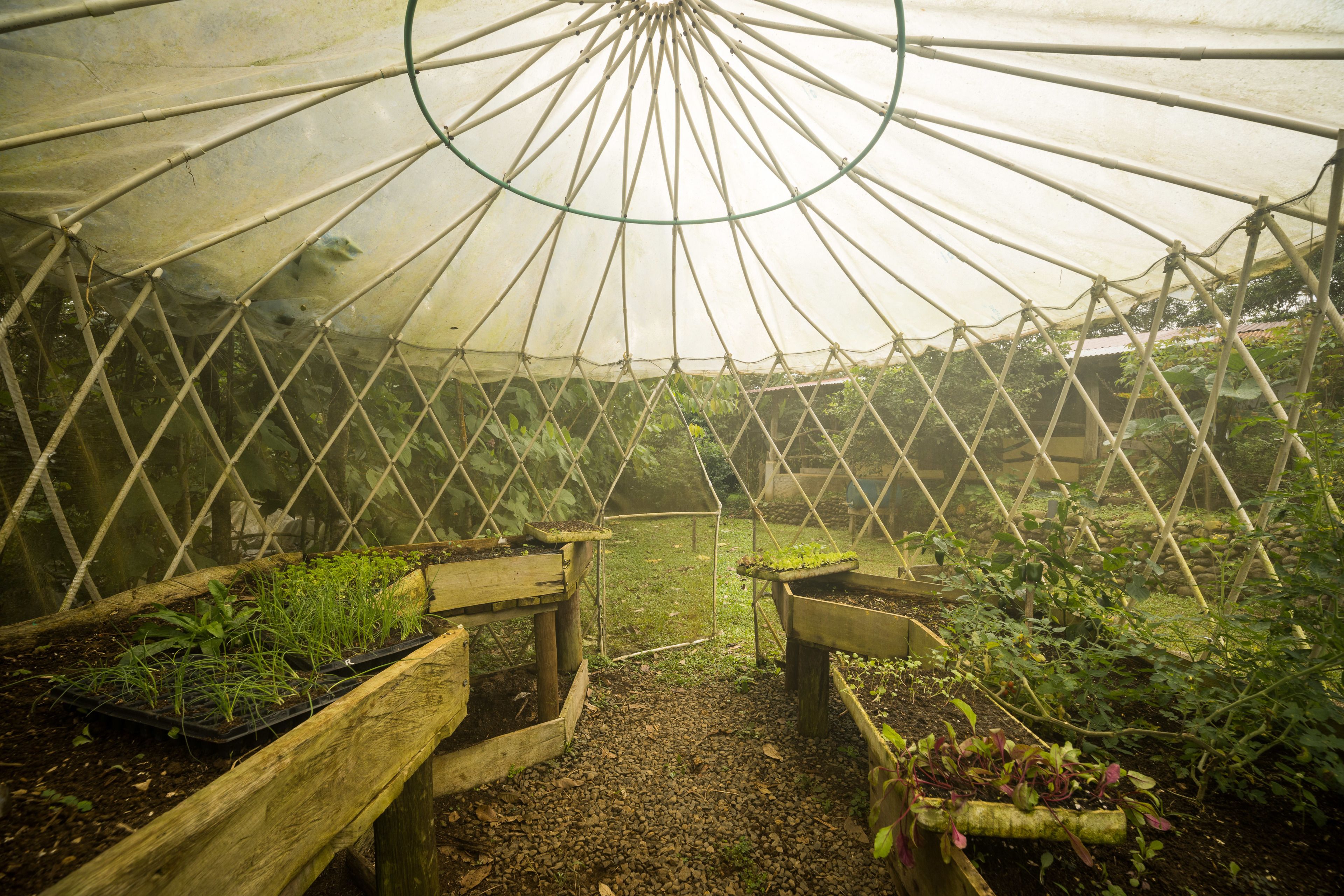 Une serre dotée d’une structure en forme de dôme, de bancs en bois et de plates-bandes surélevées où sont plantées des plantes.