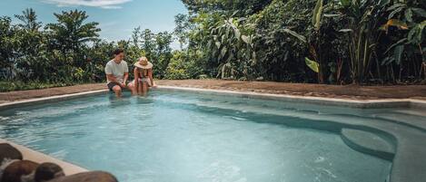 A swimming pool with two people, surrounded by lush greenery.