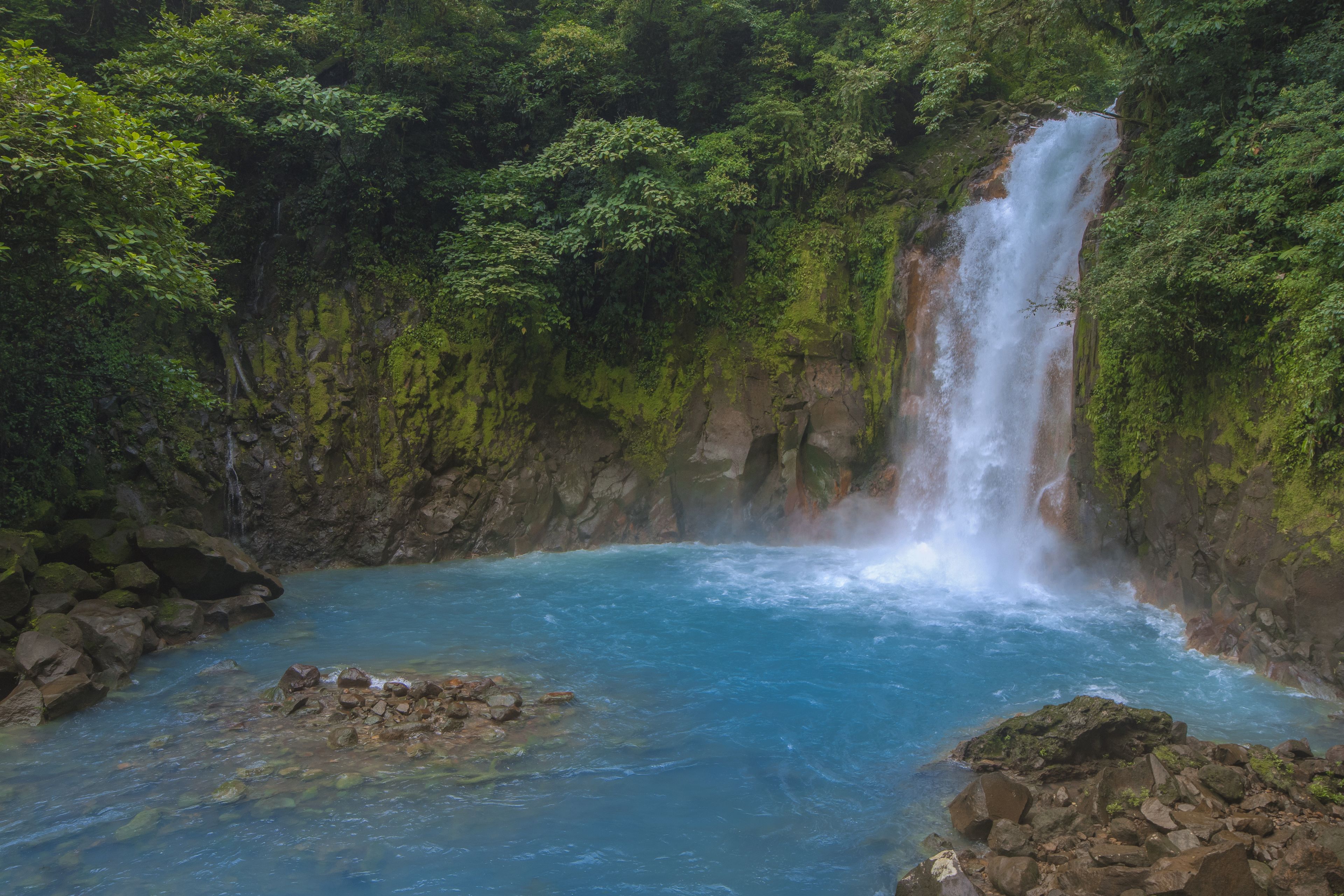 A waterfall cascading into a clear blue pool surrounded by lush greenery.