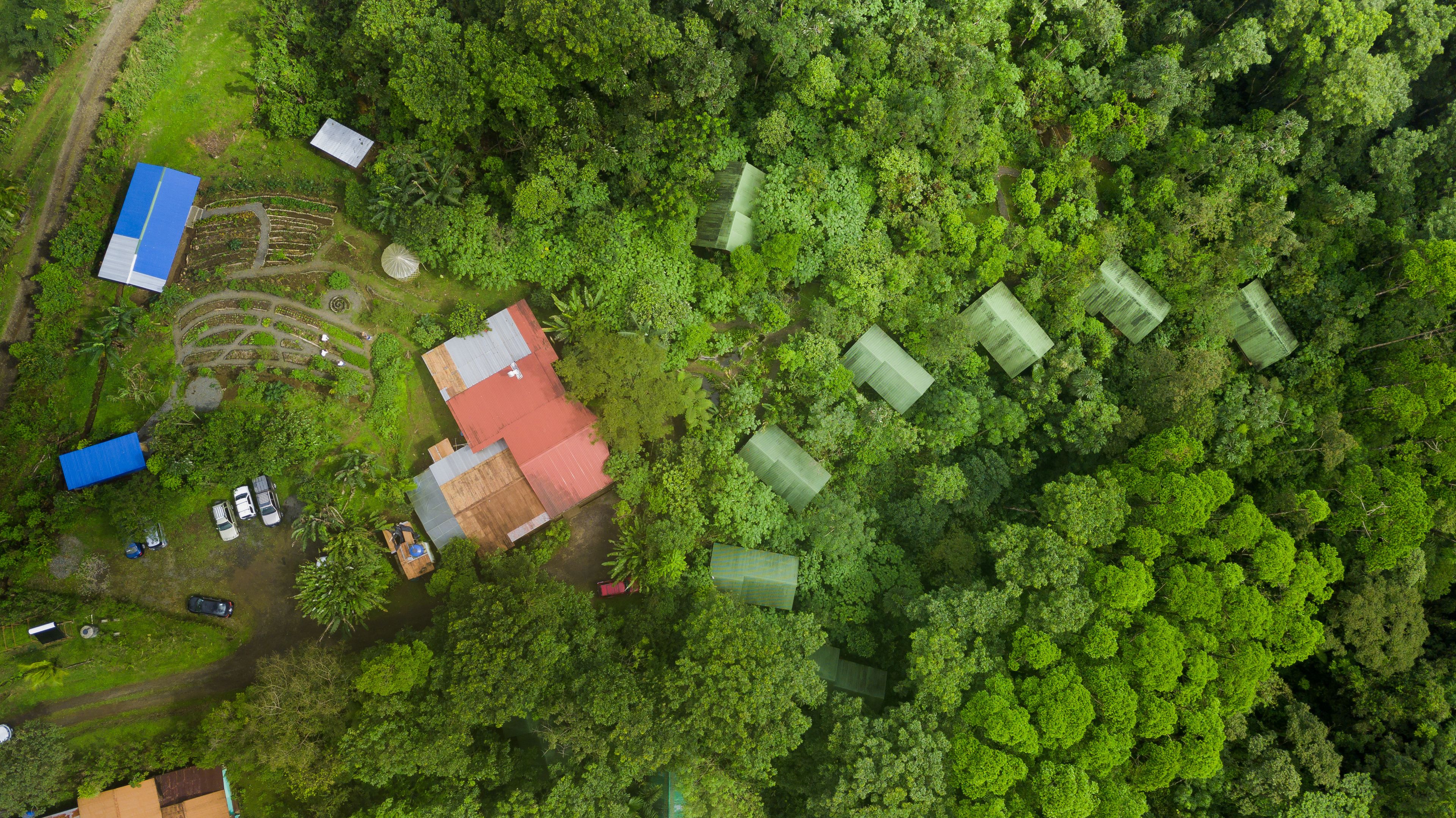 An aerial view of a rural area with several buildings, including a large house with a red roof, surrounded by dense green forest.