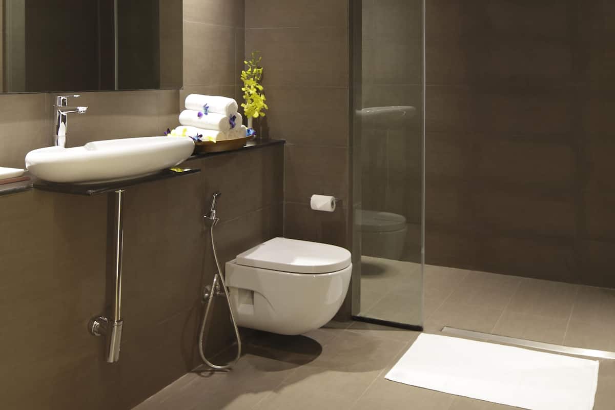 shower, free toiletries, hair dryer, bathrobes