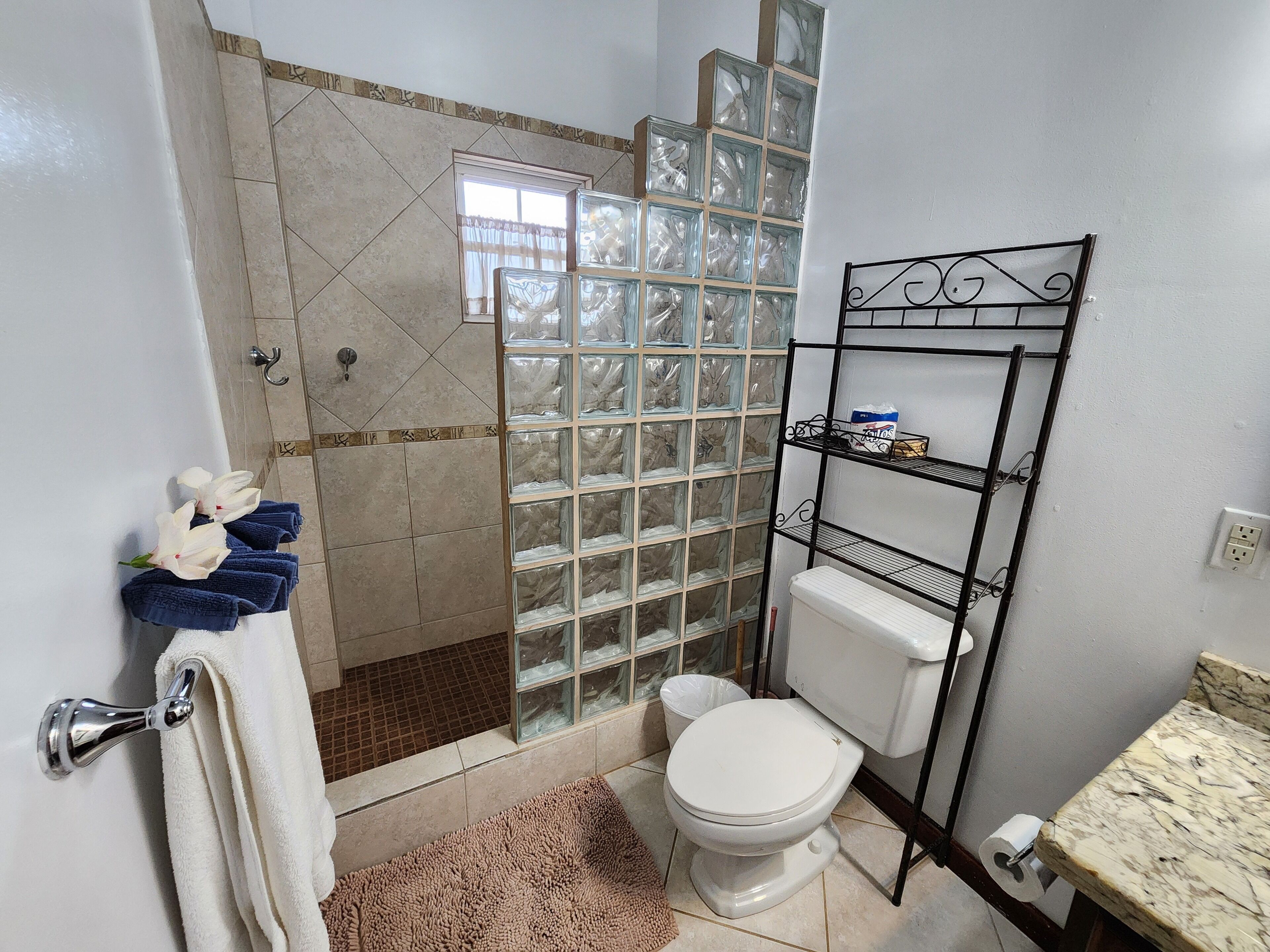 A bathroom with a glass shower enclosure, a toilet, a sink with a marble countertop, and a metal shelf unit.
