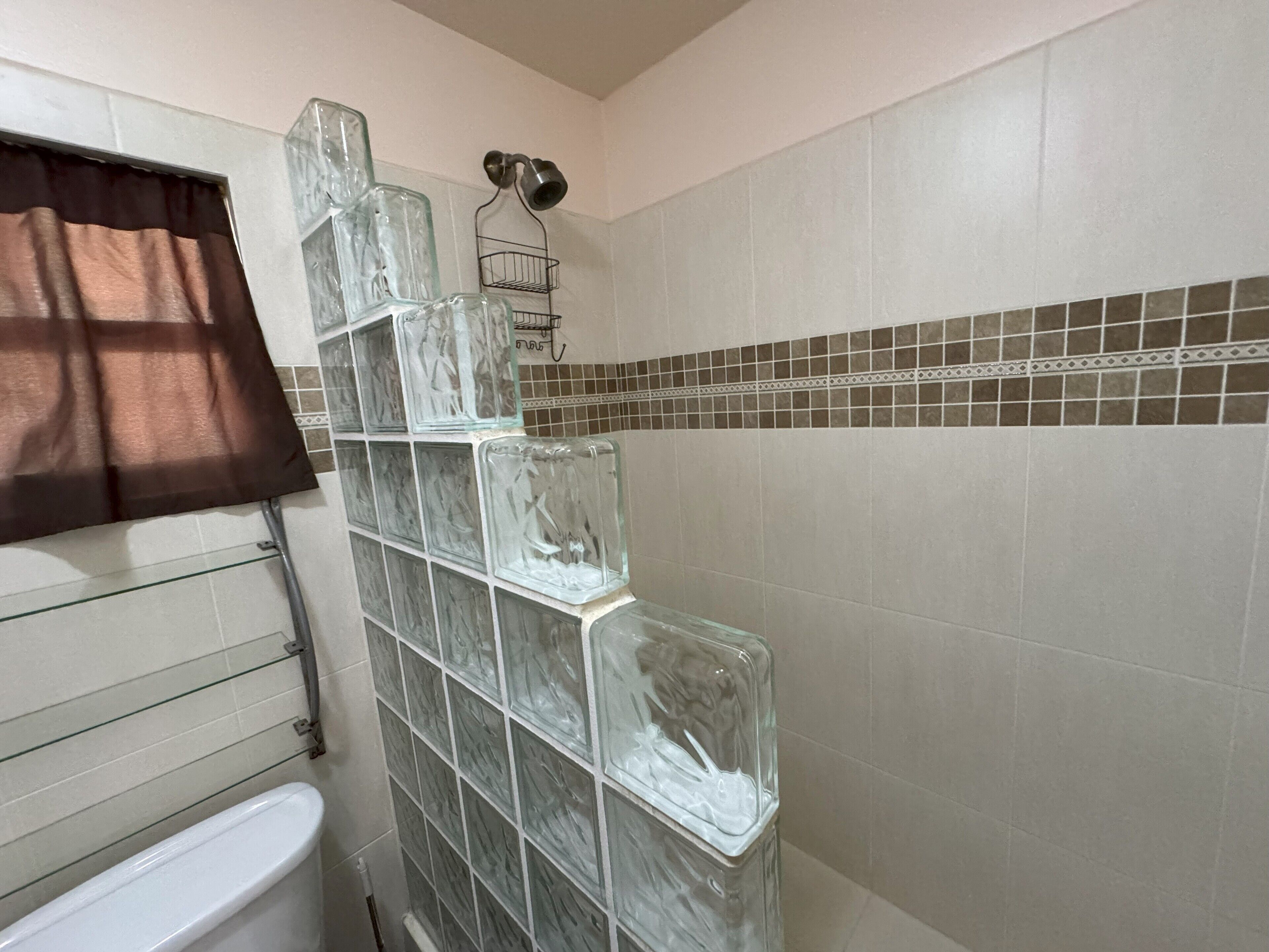 A bathroom with a glass block wall, a white toilet, and a towel rack.