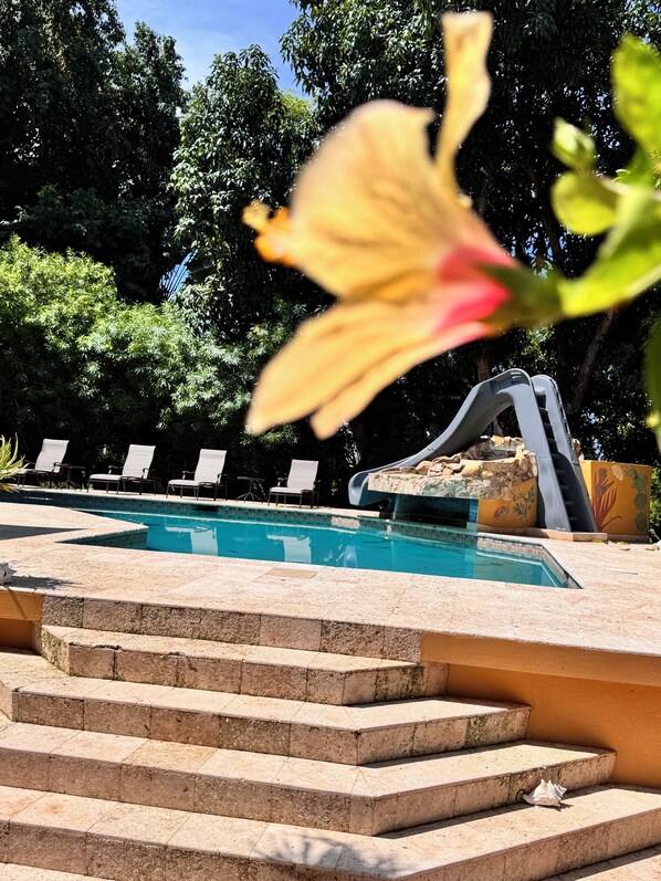 A swimming pool with steps leading down to the water, surrounded by lounge chairs and a water slide. - Caribbean Shores Bed & Breakfast (Hopkins)