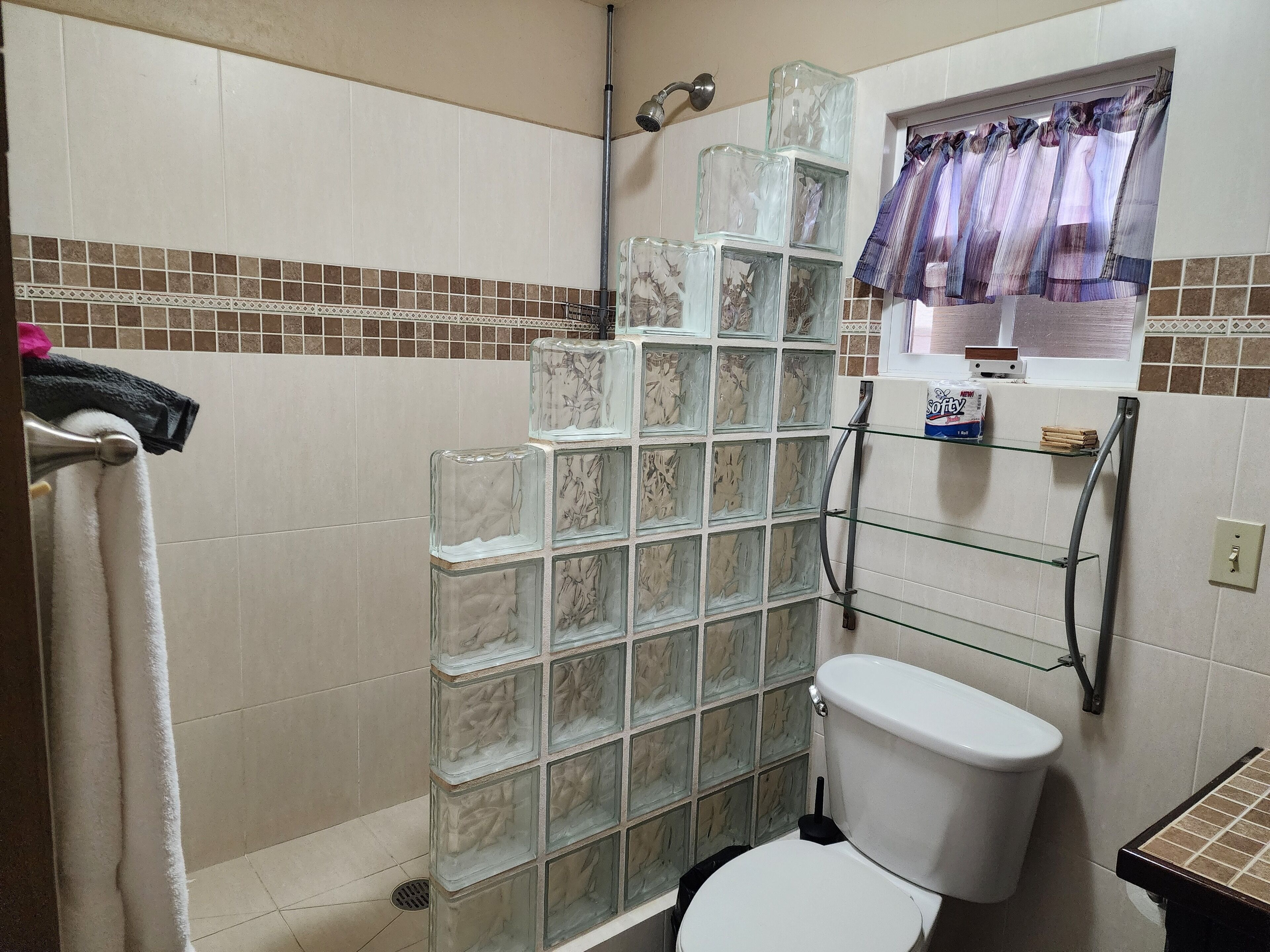 A bathroom with a toilet, a glass block shower enclosure, and a shelf with toiletries.