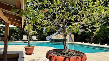 Luxury Room, 1 King Bed | Terrace/patio