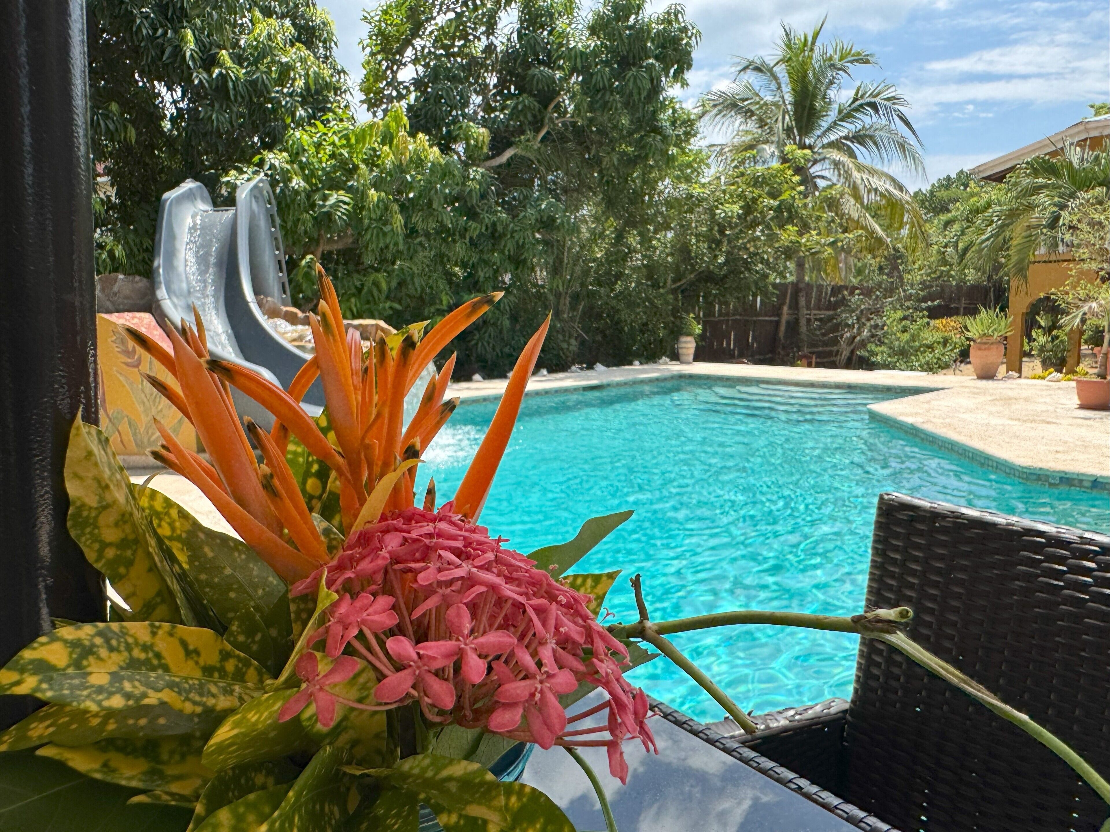 Hồ bơi ngoài trời, dù/ô trên bãi biển/hồ bơi, ghế dài tắm nắng 