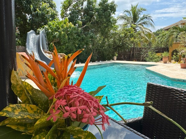 Outdoor pool, pool umbrellas, pool loungers