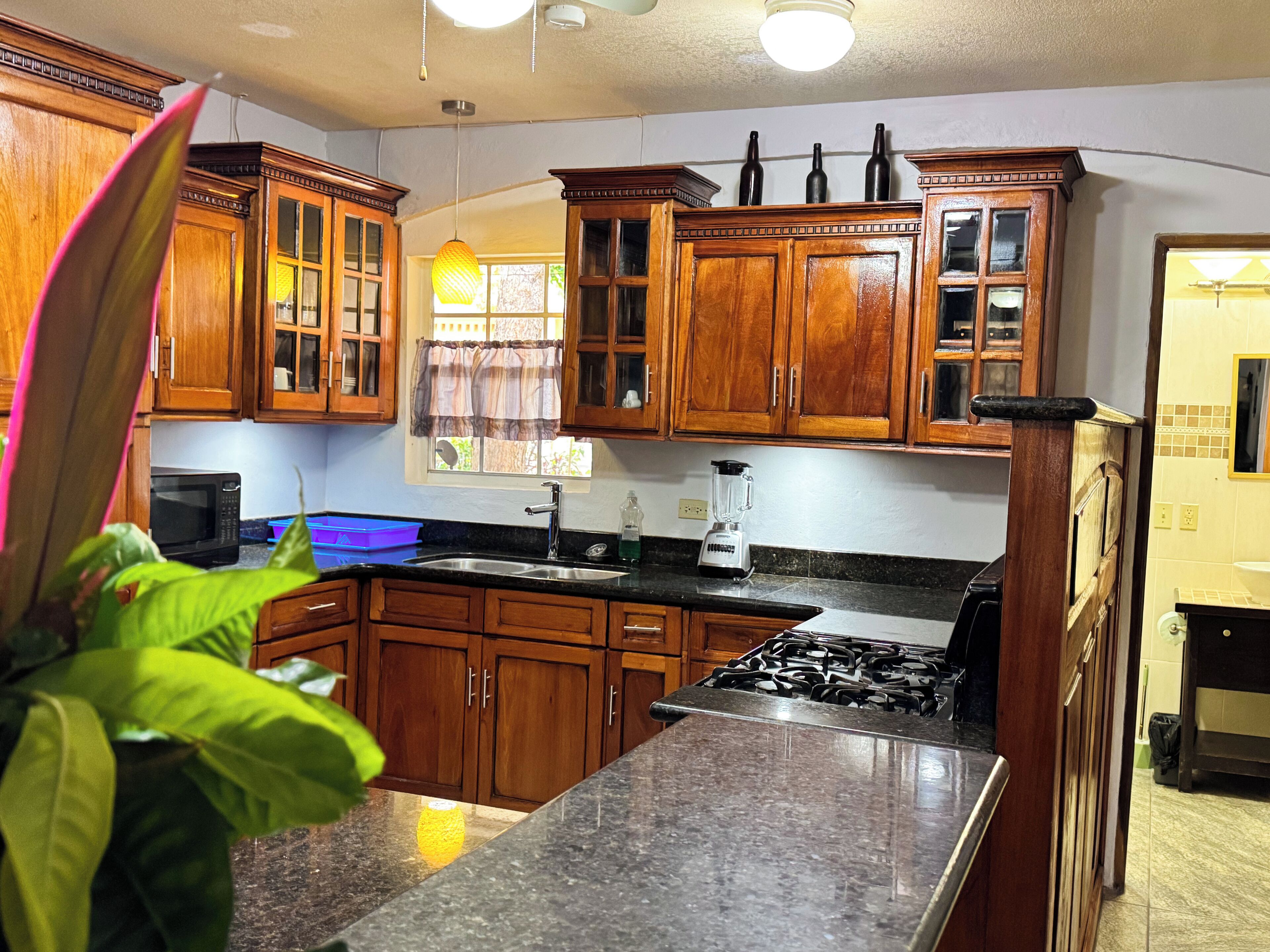 A kitchen with wooden cabinets, a microwave, a sink, and a stove.