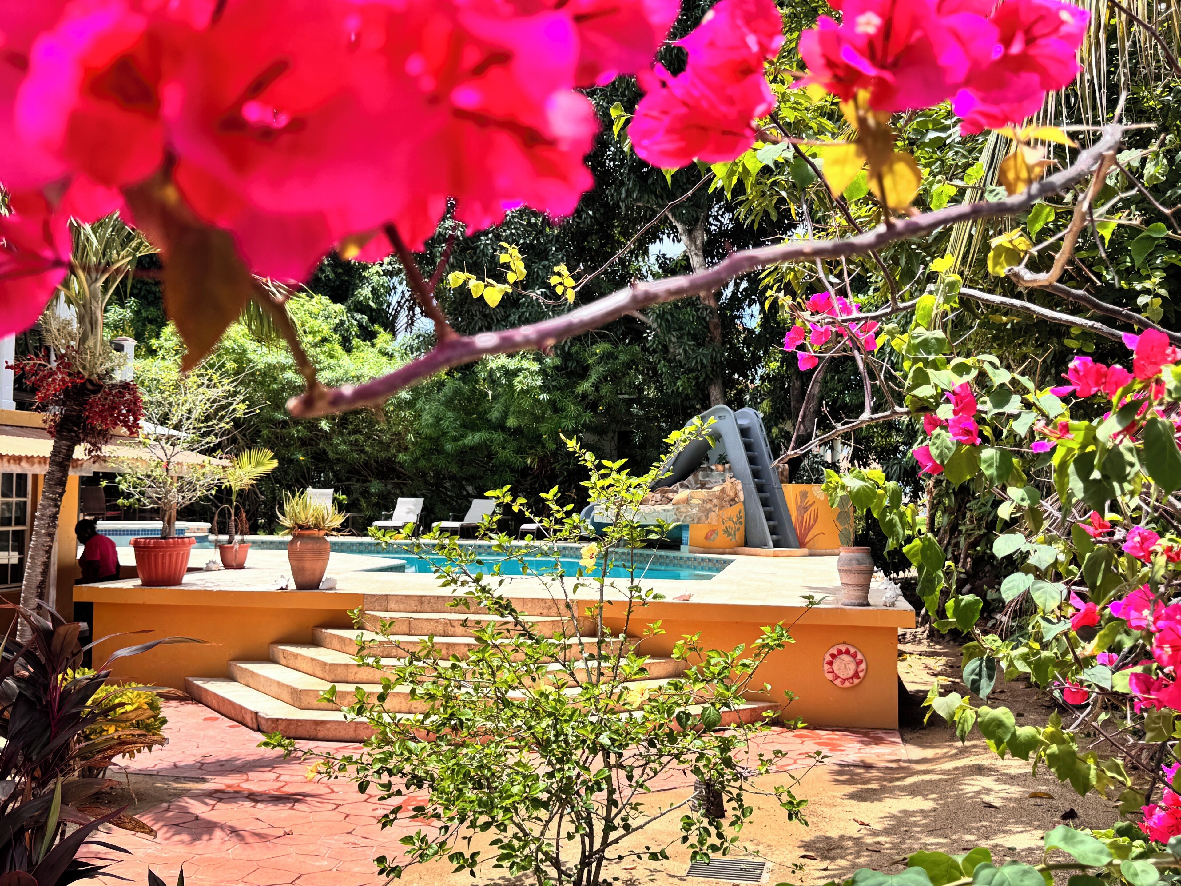 Outdoor pool, pool umbrellas, sun loungers