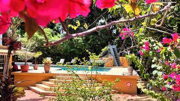 Outdoor pool, pool umbrellas, sun loungers