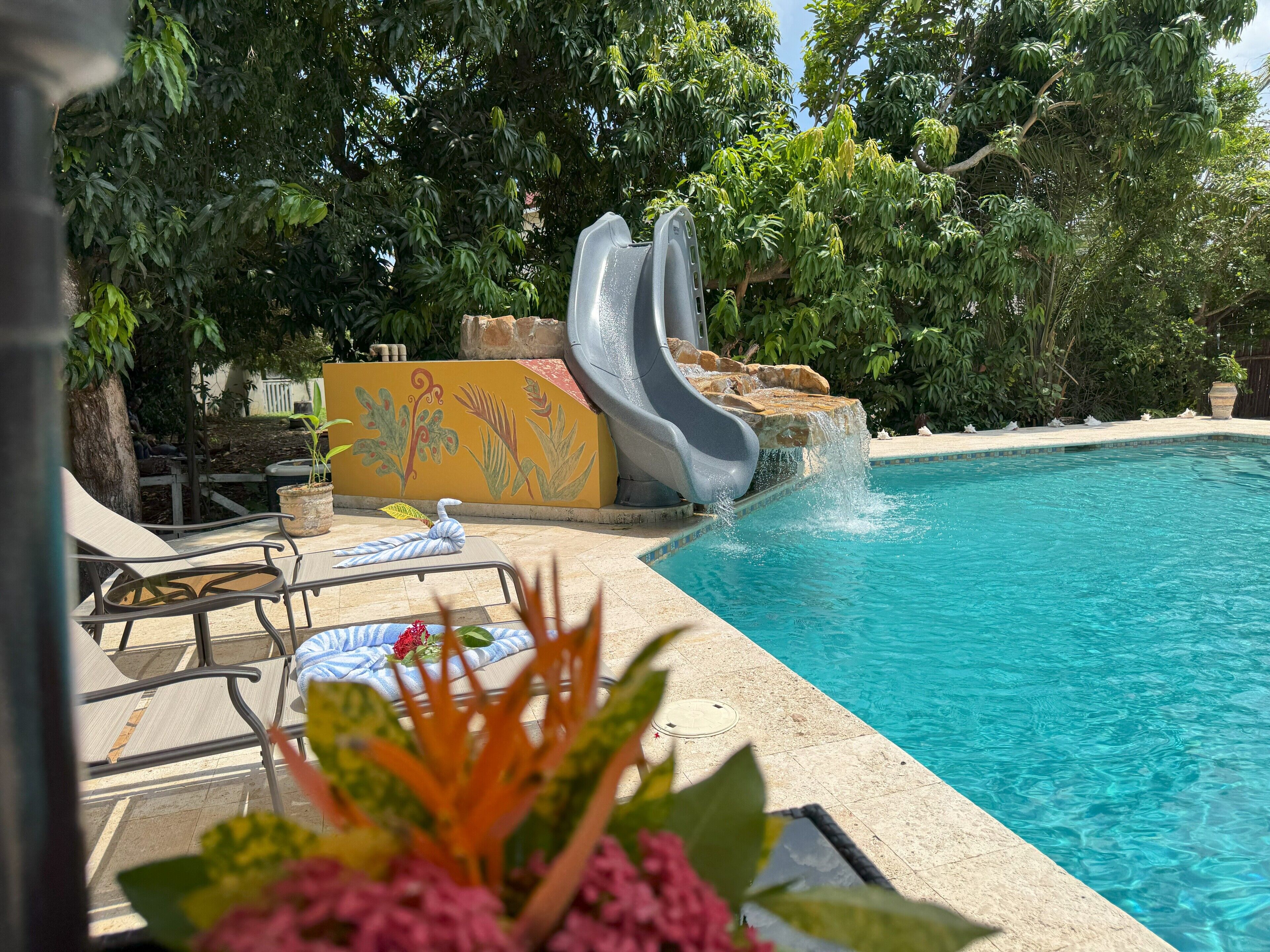 Outdoor pool, pool umbrellas, pool loungers