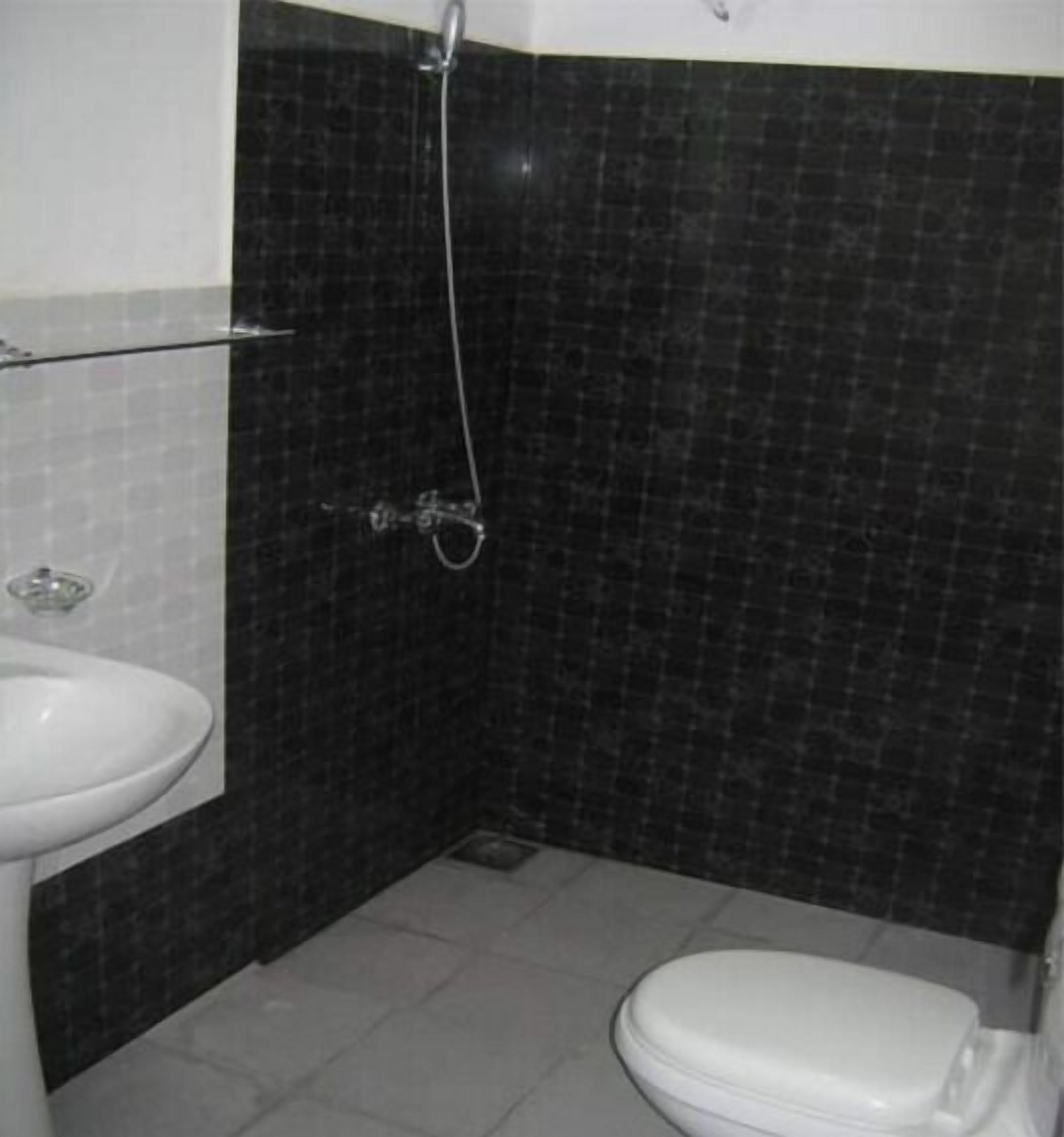Une salle de bain avec un lavabo blanc, des toilettes et une douche.