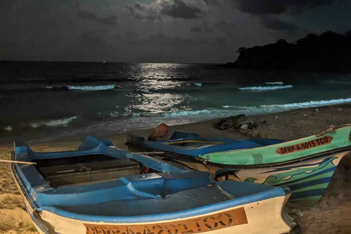 A beach with boats and a moonlit sky.