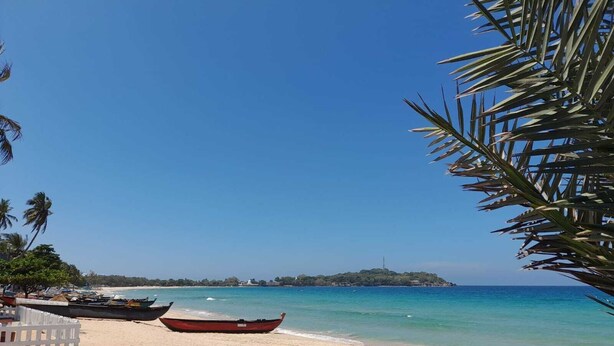 A beach with boats, palm trees, and a clear blue sky. - Dyke rest (Trincomalee)