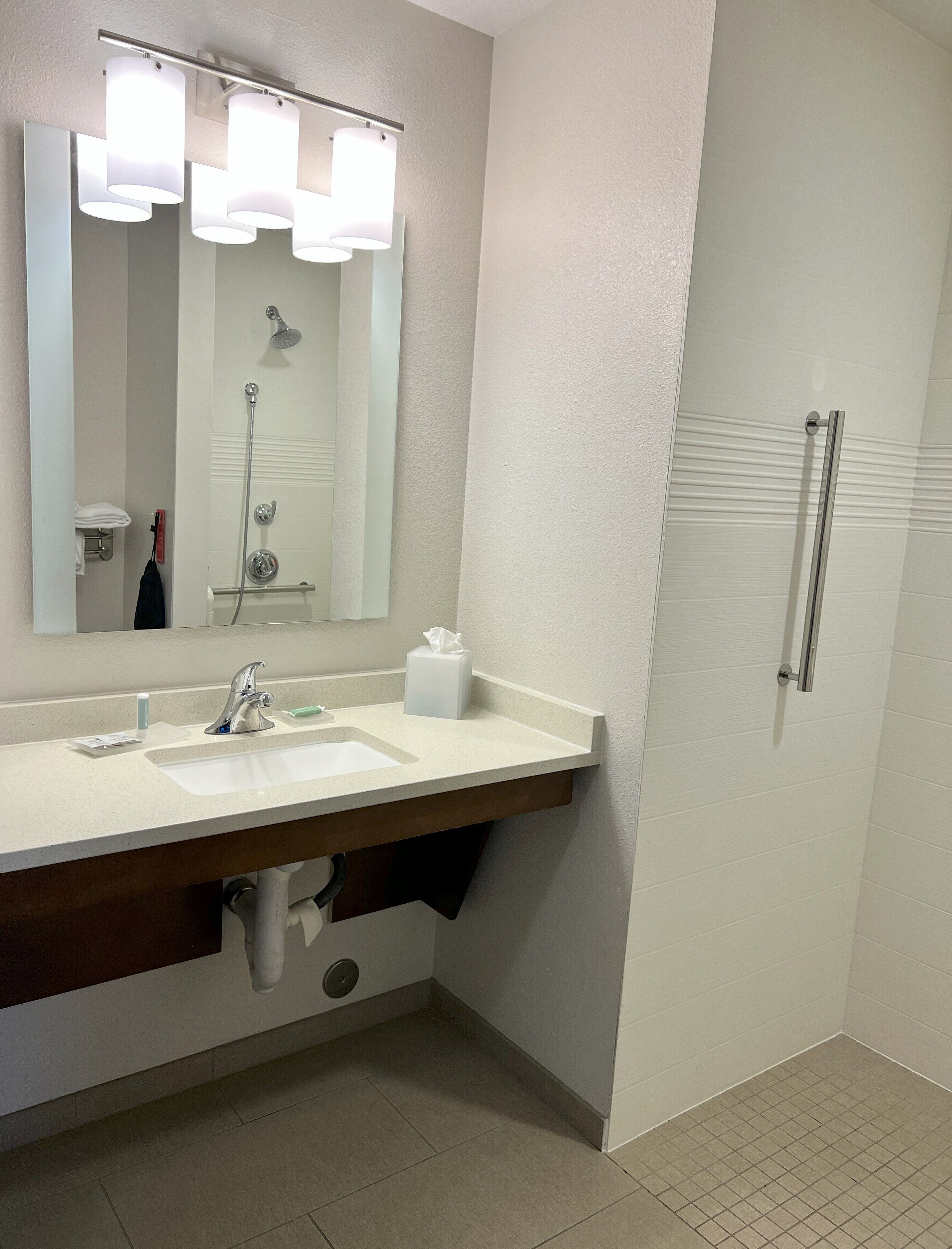 suite, 1 bedroom, non smoking (mobility/hearing access, roll-in shwr) | bathroom | shower, free toiletries, hair dryer, towels