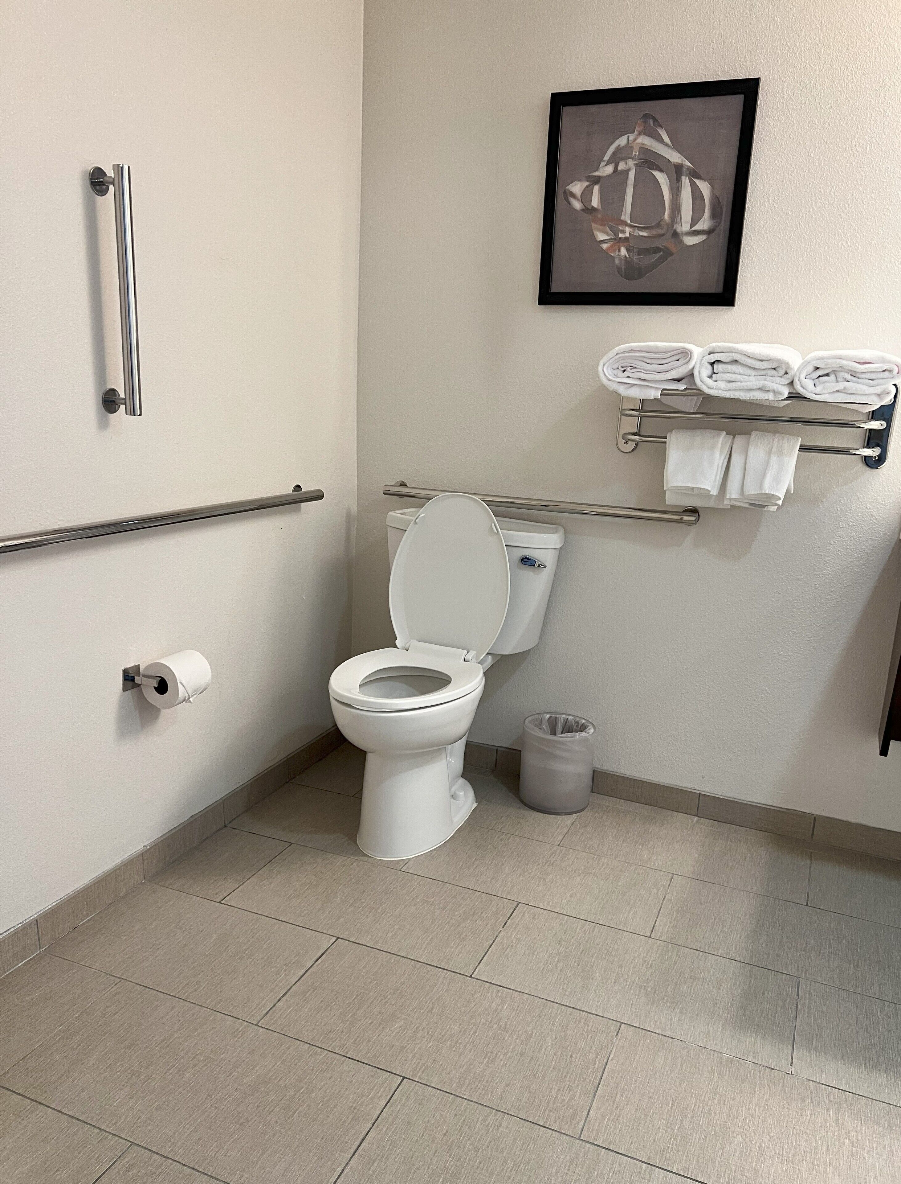 A modern bathroom with a toilet, handrails, a towel rack, and a framed artwork on the wall.