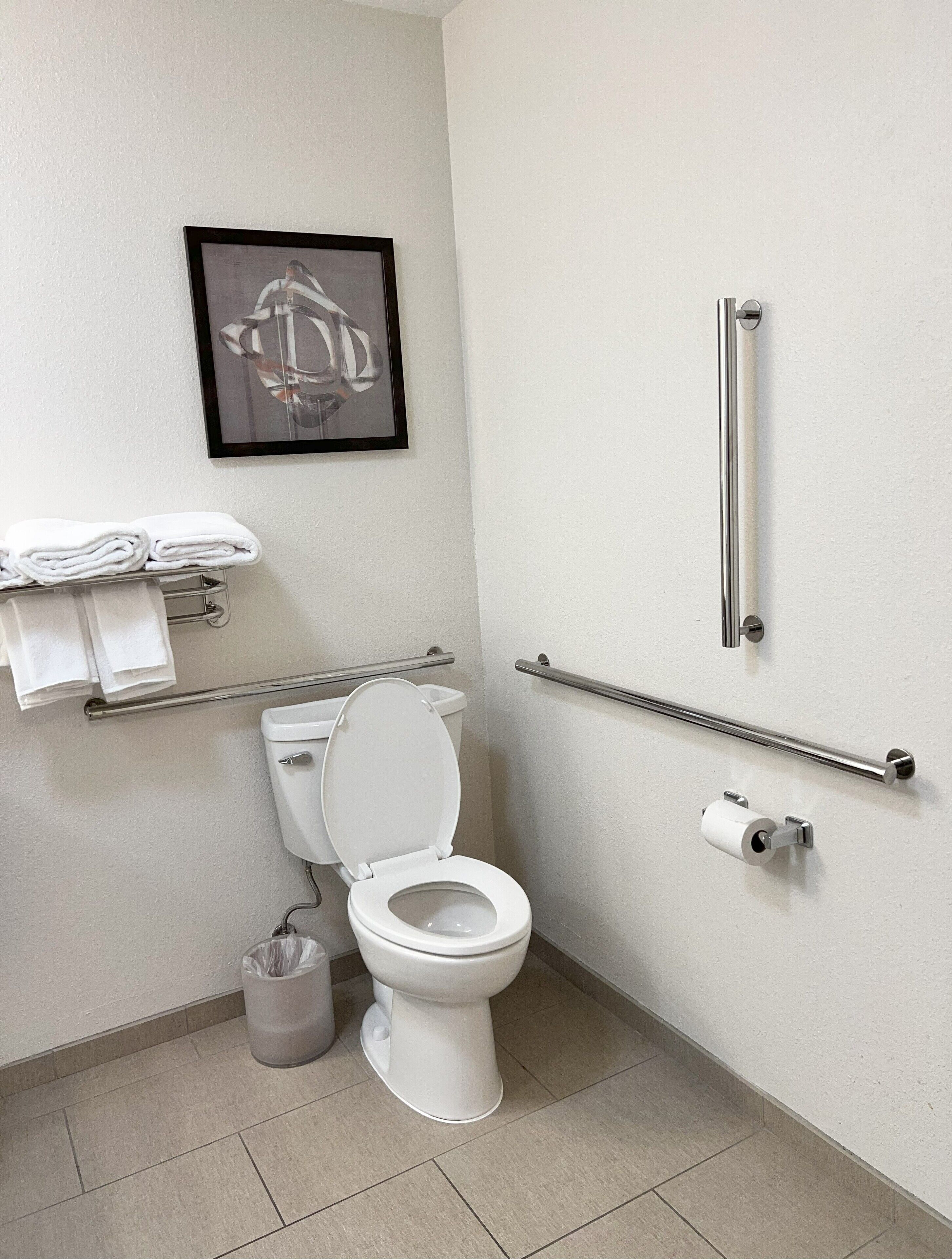 Un baño moderno con inodoro, barras de apoyo, un cubo de basura y un cuadro enmarcado en la pared.