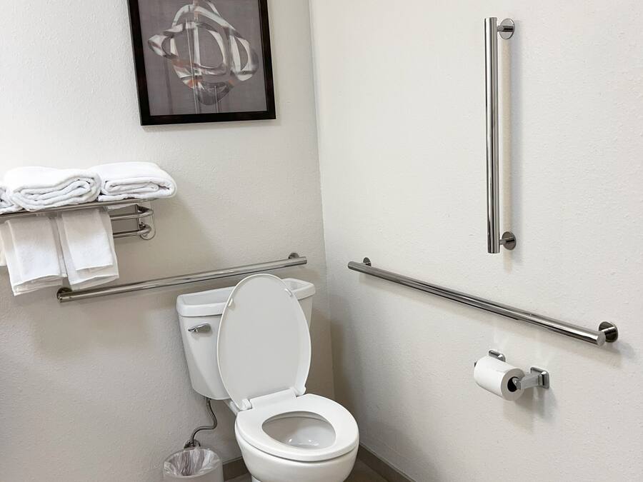 Un baño moderno con inodoro, barras de apoyo, un cubo de basura y un cuadro enmarcado en la pared.