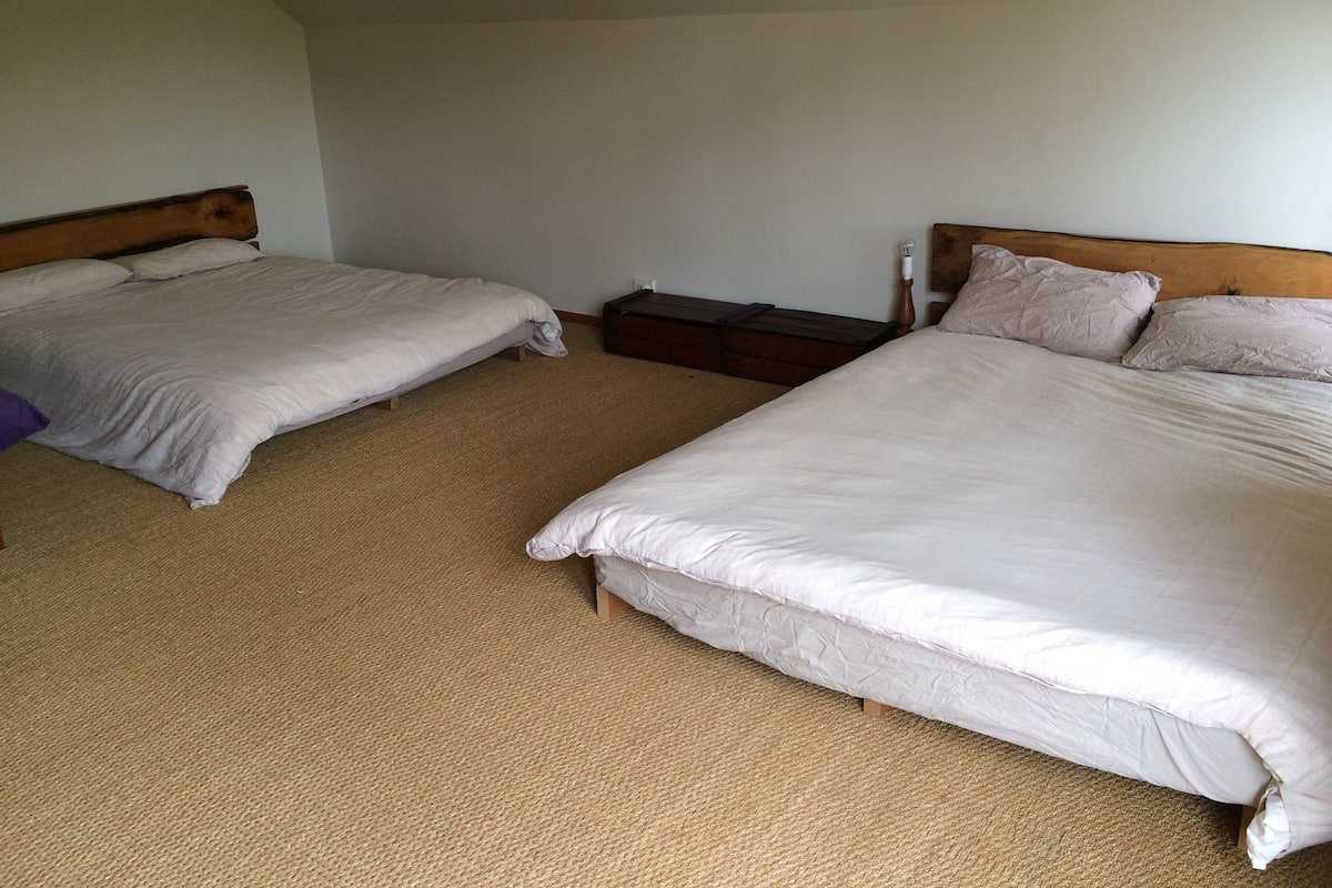 Two single beds with wooden headboards in a room with a carpeted floor.