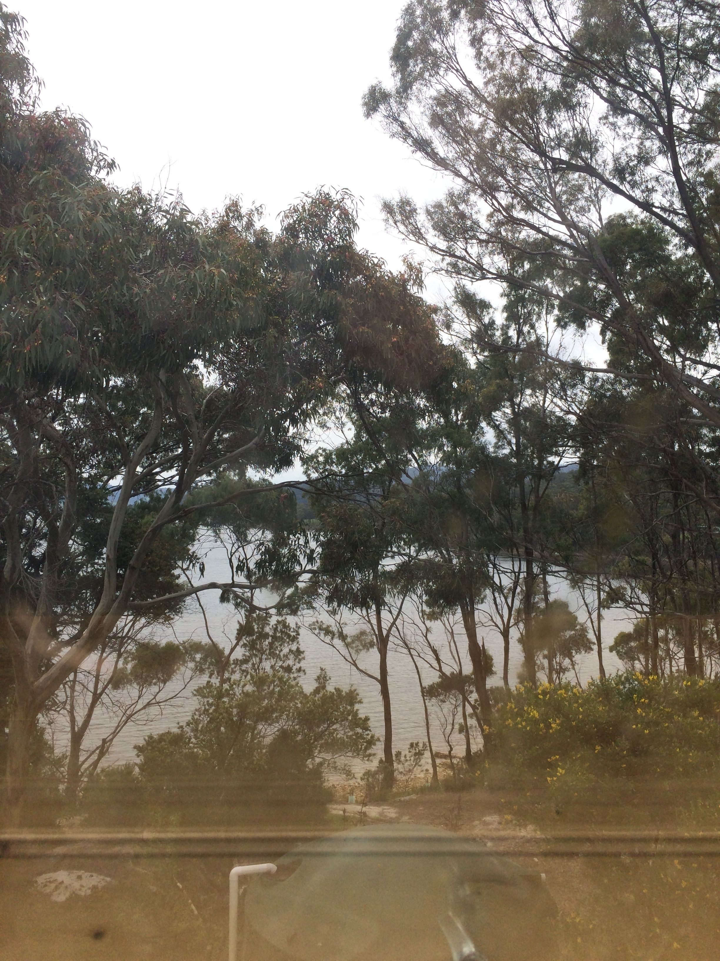 Vista de una carretera con árboles y un cuerpo de agua al fondo.