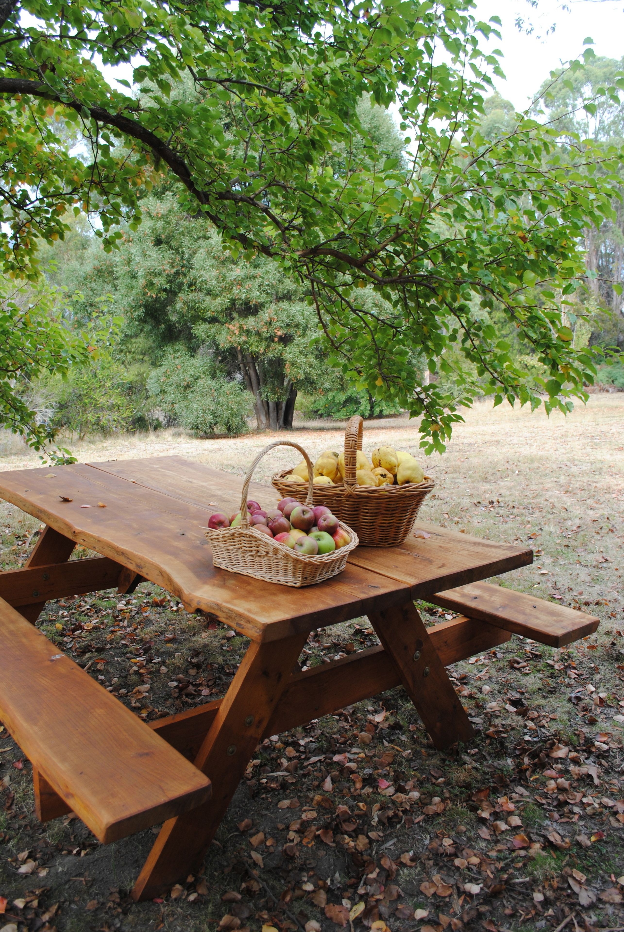 BBQ/picnic Area