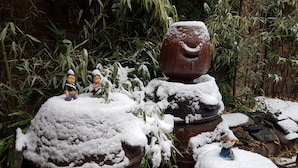 Um jardim com estátuas e plantas cobertas de neve.