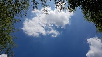 A clear blue sky with clouds and bamboo leaves framing the view.