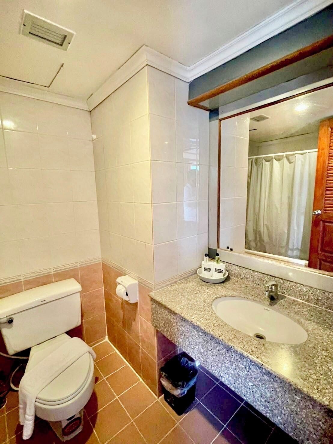 A bathroom with a toilet, sink, mirror, and shower curtain.