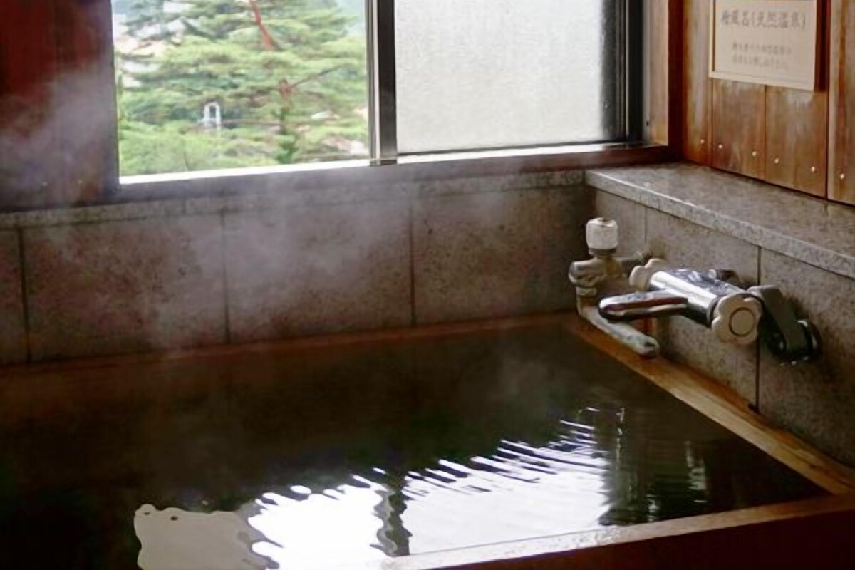 A traditional Japanese onsen with a wooden interior, a stone bathtub, and a view of trees outside.