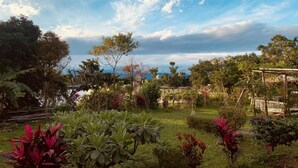 Un jardin avec différentes plantes et arbres, une structure en bois et une vue sur la mer.