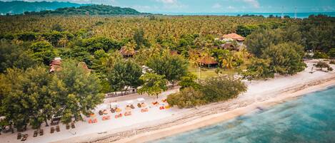 Accommodatie ligt op het strand, ligstoelen, parasols, strandlakens