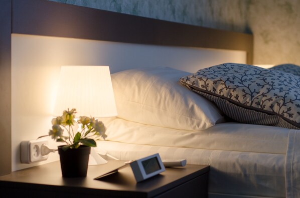 Standard Apartment (Mini Kitchen) | Room amenity - Camelot (Pskov)