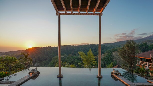 An infinity pool with two turtles, surrounded by lush greenery and a wooden pergola. - Rinjani Lodge (Bayan)