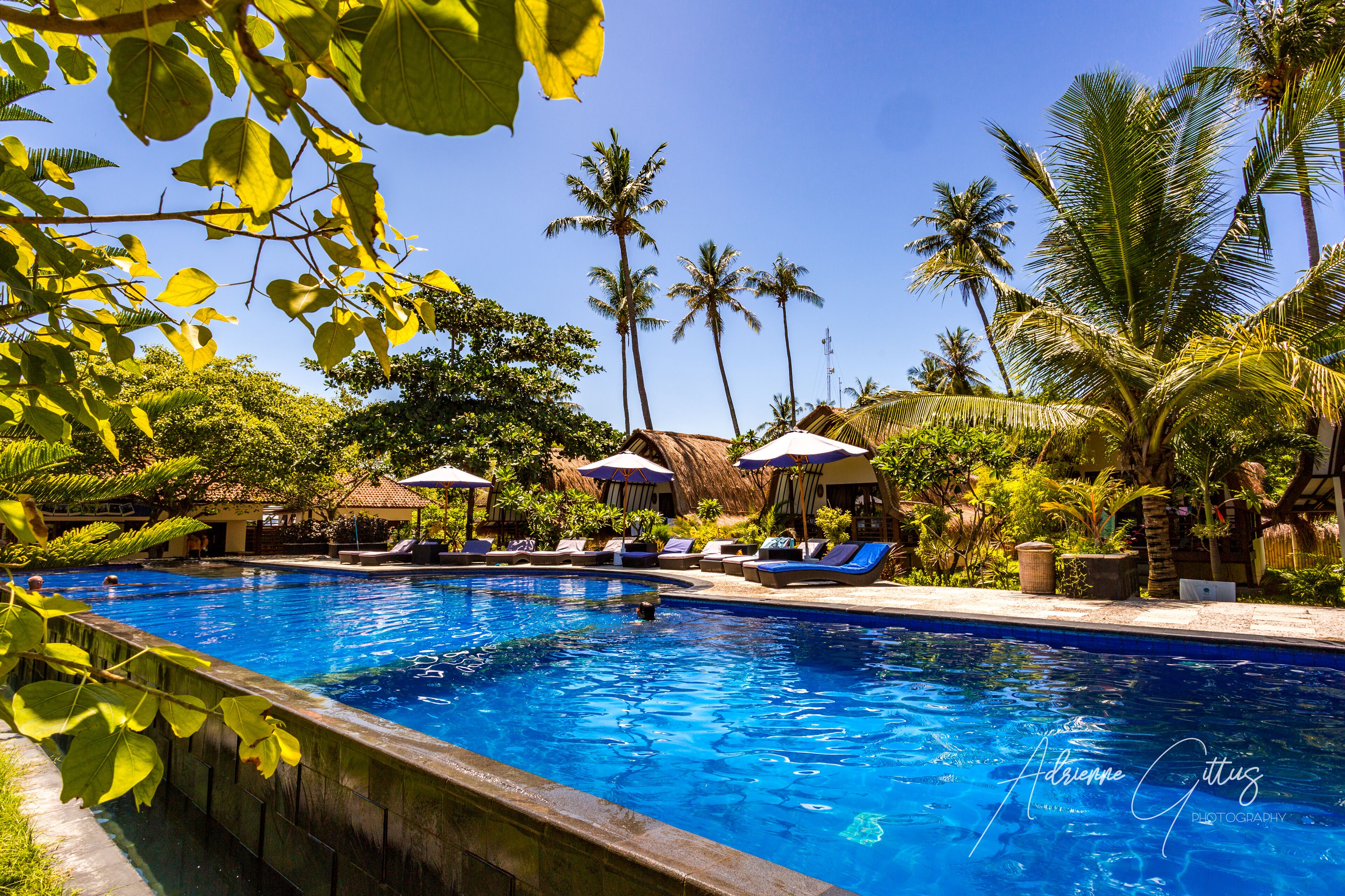 sea view poolside bungalow | view from room