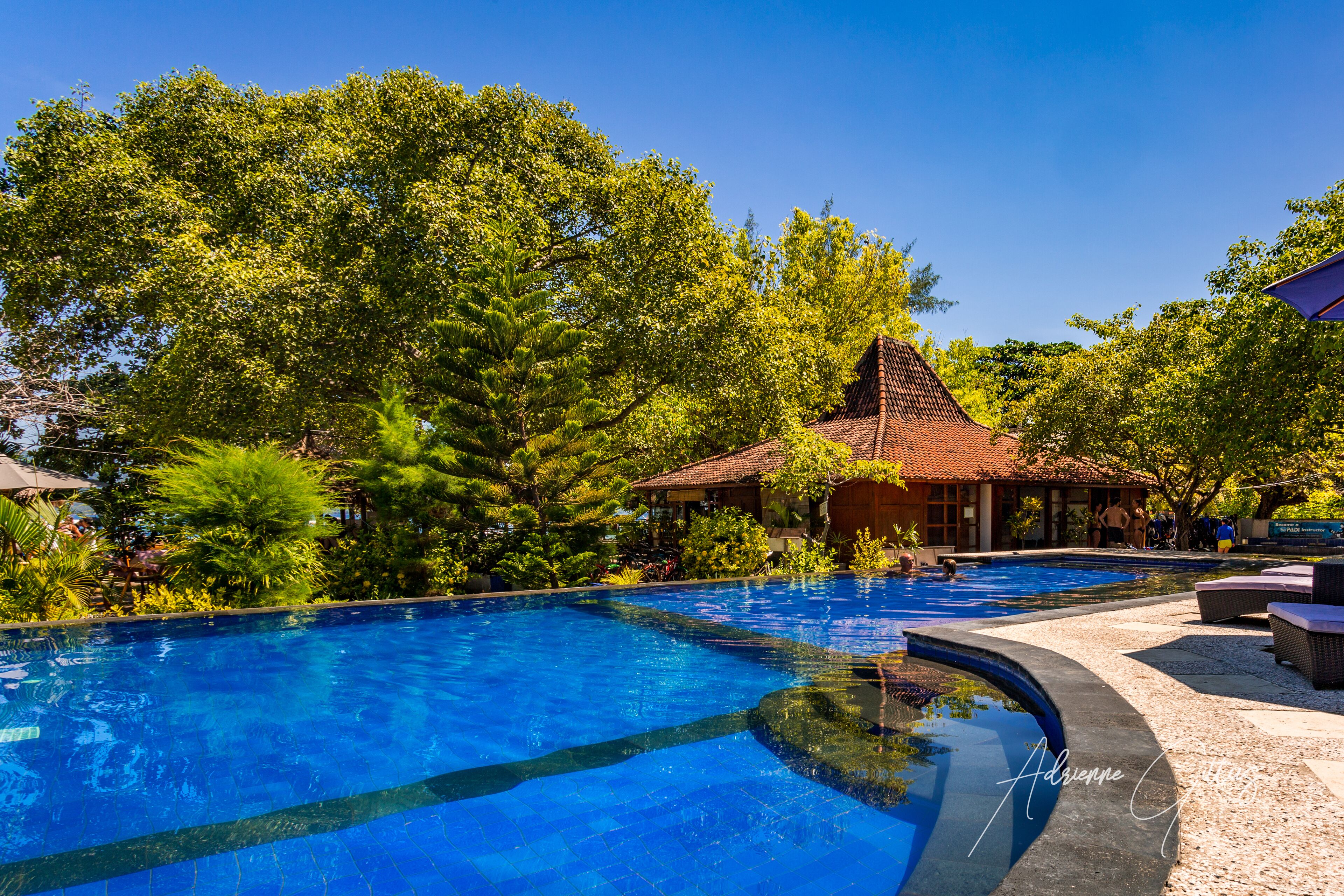 sea view poolside bungalow with extra bunk bed | outdoor pool | 2 outdoor pools, pool umbrellas, pool loungers