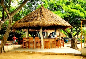 2 bars/lounges, beach bar