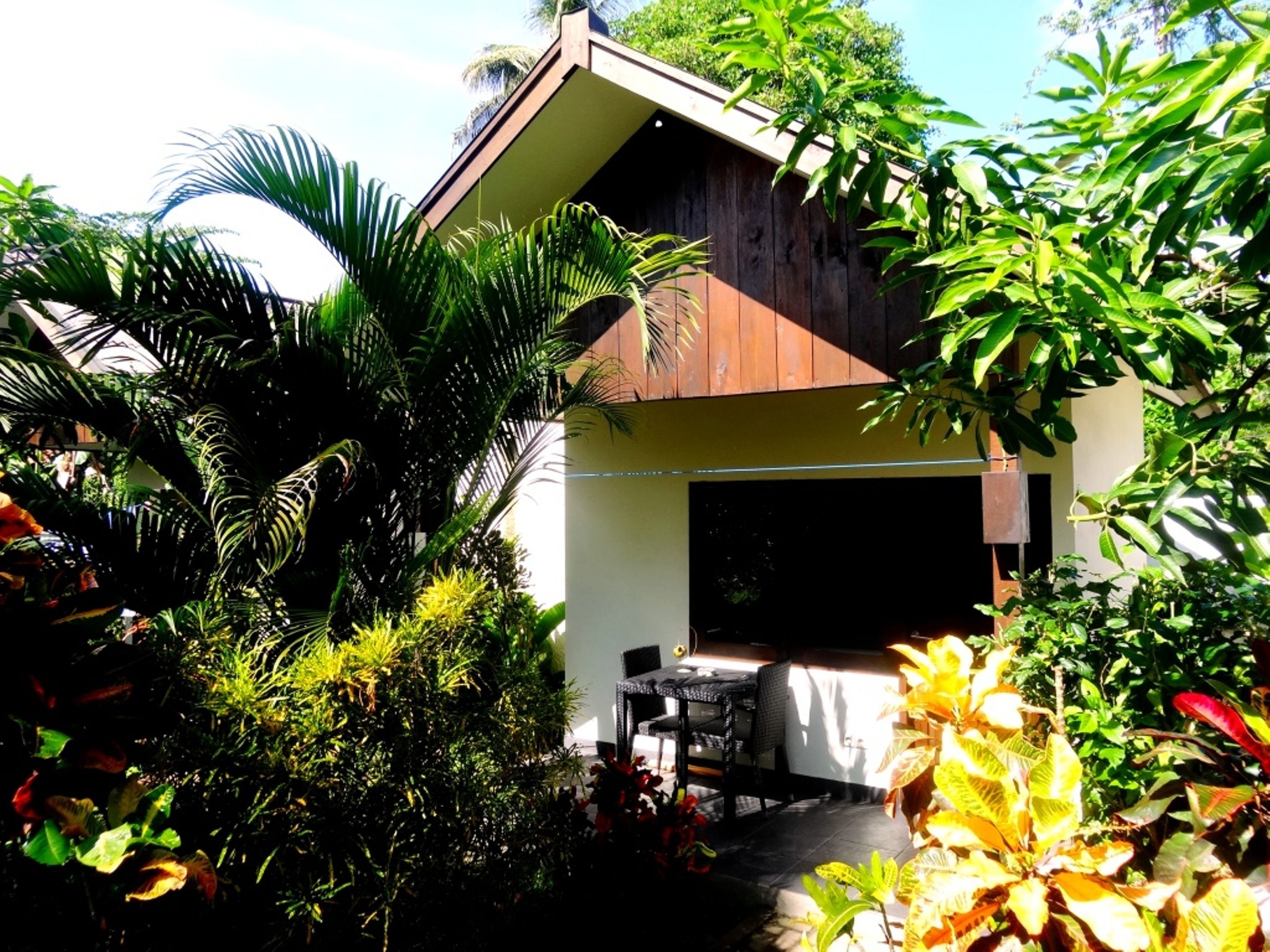 Uma casa moderna com um amplo pátio rodeado por vegetação exuberante.