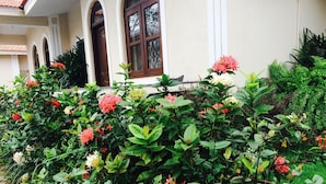 A lush garden with various flowering plants and shrubs in front of a building with a tiled roof and arched windows. - Jacks Resort (Vagator)