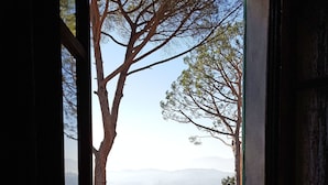 A window with a view of a tree and a staircase leading to a balcony. - Villa Colle Olivi (Pescia)