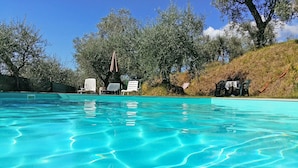 A clear swimming pool with lounge chairs and a flag on the side. - Villa Colle Olivi (Pescia)